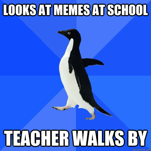 Looks at memes at school Teacher walks by  Socially Awkward Penguin