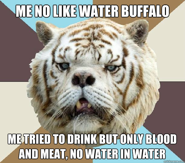 me no like water buffalo me tried to drink but only blood and meat, no water in water buffalo  Kenny the Retarded Tiger