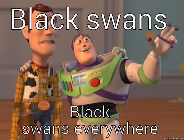 BLACK SWANS BLACK SWANS EVERYWHERE Toy Story