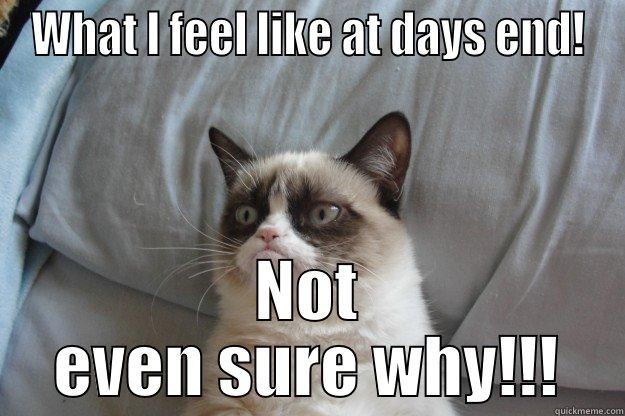 WHAT I FEEL LIKE AT DAYS END! NOT EVEN SURE WHY!!! Grumpy Cat
