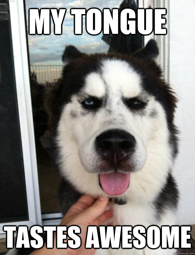 my tongue tastes awesome  10 Dog
