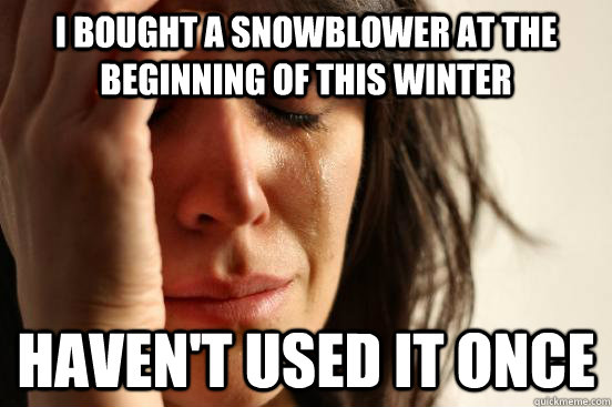 I bought a snowblower at the beginning of this winter Haven't used it once  