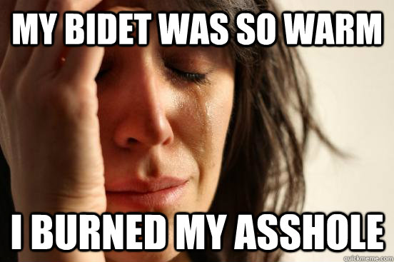 my bidet was so warm I burned my asshole  First World Problems