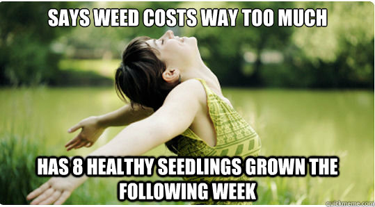 Says weed costs way too much has 8 healthy seedlings grown the following week  