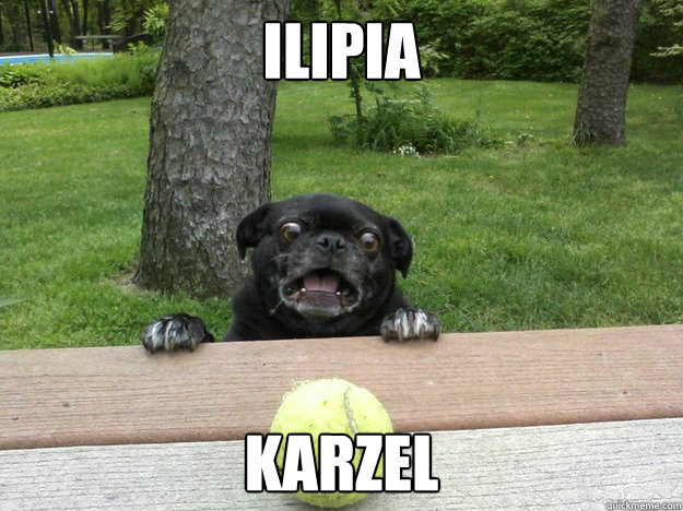 Ilipia Karzel  Berks Dog