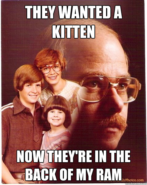 They wanted a kitten Now they're in the back of my ram  Vengeance Dad