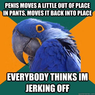 Penis moves a little out of place in pants, moves it back into place Everybody thinks im jerking off  Paranoid Parrot
