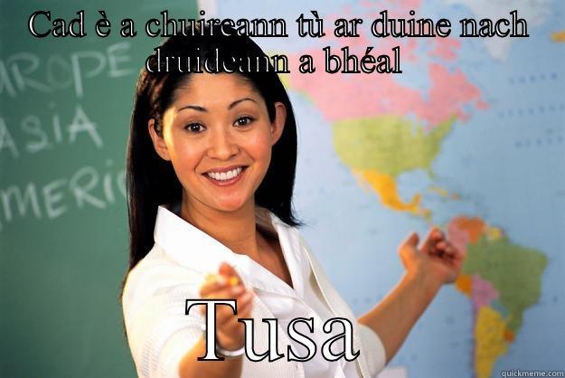 CAD È A CHUIREANN TÙ AR DUINE NACH DRUIDEANN A BHÉAL  TUSA Unhelpful High School Teacher