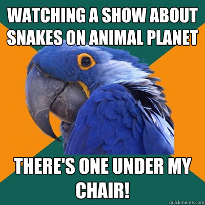 watching a show about snakes on animal planet there's one under my chair!  Paranoid Parrot