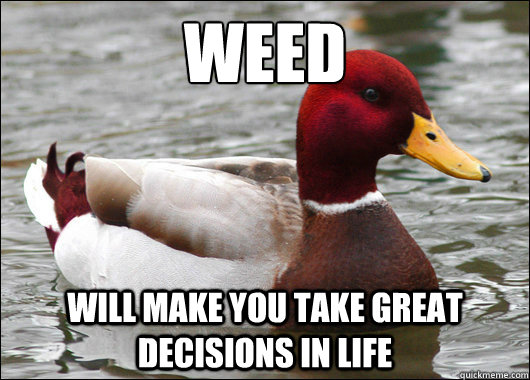 WEED
 will make you take great decisions in life   Malicious Advice Mallard