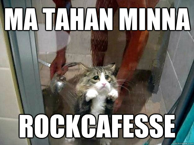 Ma tahan minna Rockcafesse  Shower kitty
