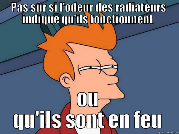 PAS SÛR SI L'ODEUR DES RADIATEURS INDIQUE QU'ILS FONCTIONNENT  OU QU'ILS SONT EN FEU Futurama Fry