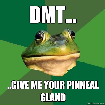 DMT... ..Give me your pinneal gland  Foul Bachelor Frog
