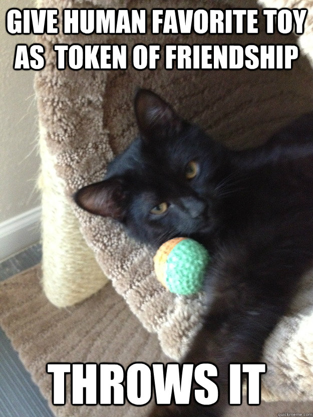 Give Human favorite toy as  token of friendship Throws it - Give Human favorite toy as  token of friendship Throws it  Misc