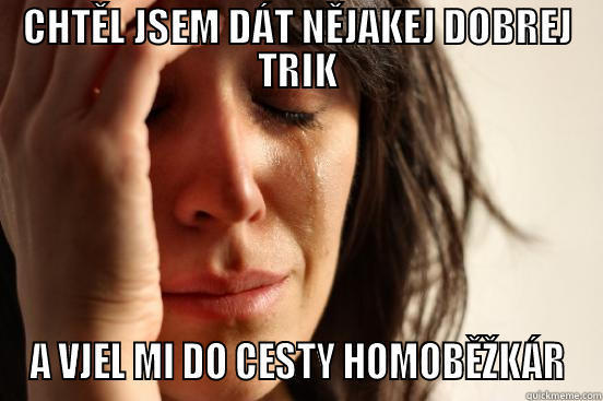 CHTĚL JSEM DÁT NĚJAKEJ DOBREJ TRIK A VJEL MI DO CESTY HOMOBĚŽKÁR First World Problems
