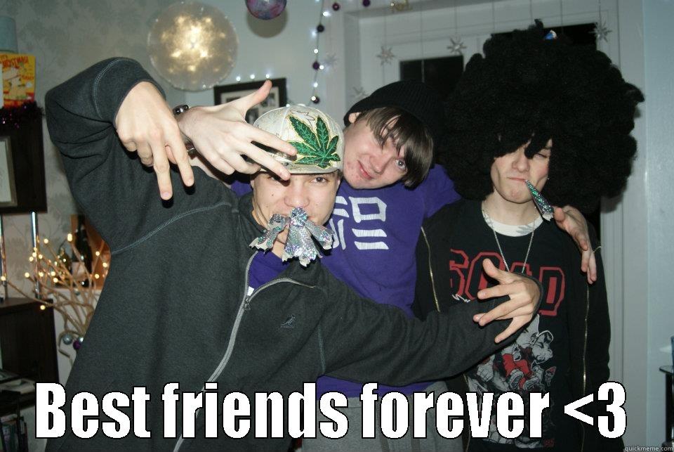  BEST FRIENDS FOREVER <3 Misc