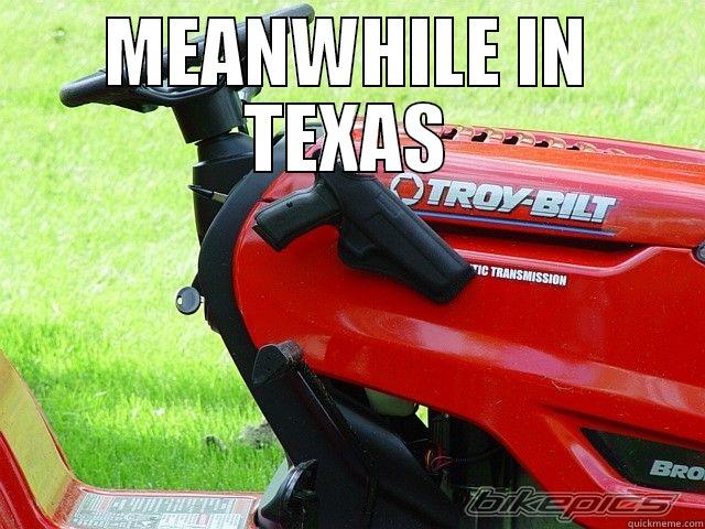 MEANWHILE IN TEXAS - MEANWHILE IN TEXAS  Misc