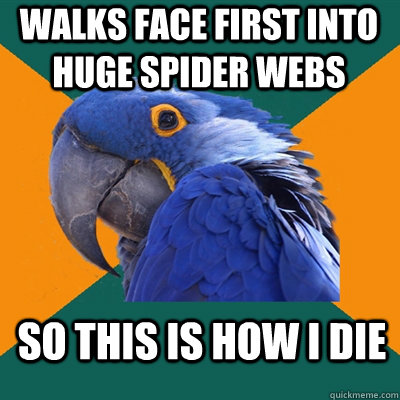 walks face first into huge spider webs so this is how i die  Paranoid Parrot