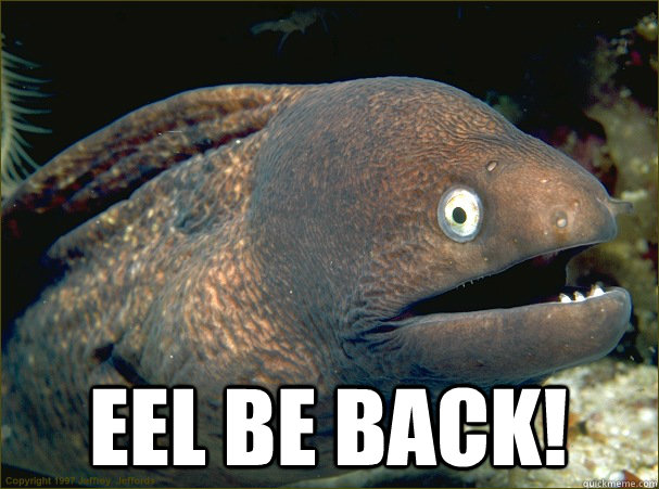  Eel be back!  Bad Joke Eel