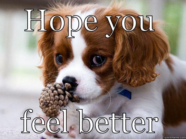 feel better puppy - HOPE YOU FEEL BETTER Misc