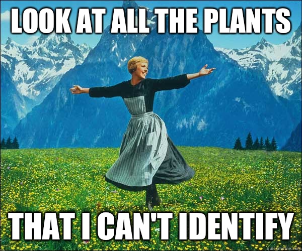 look at all the plants that I can't identify  Look At All The Fucks I Give