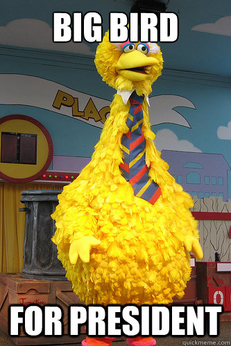 Big Bird For President  Big Bird For President