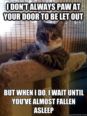 i don't always paw at your door to be let out but when I do, i wait until you've almost fallen asleep  The Most Interesting Cat in the World