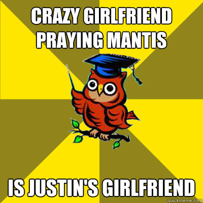 crazy girlfriend praying mantis is justin's girlfriend  Observational Owl