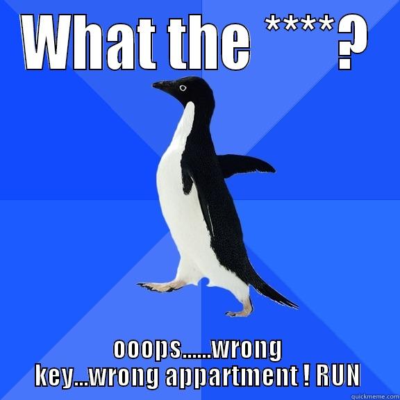 WHAT THE ****? OOOPS......WRONG KEY...WRONG APPARTMENT ! RUN Socially Awkward Penguin