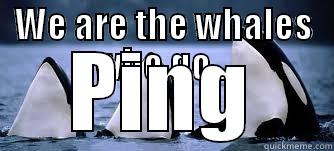 WE ARE THE WHALES WHO GO... PING Misc