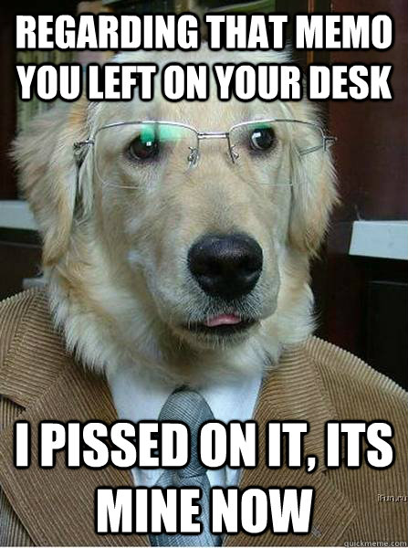 Regarding that memo you left on your desk I pissed on it, its mine now  Business Dog