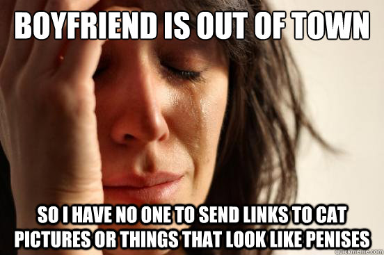 Boyfriend is out of town So I have no one to send links to cat pictures or things that look like penises   First World Problems