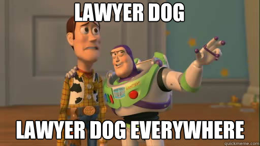 Lawyer dog lawyer dog everywhere - Lawyer dog lawyer dog everywhere  Everywhere