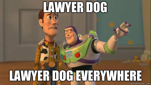Lawyer dog lawyer dog everywhere  Everywhere