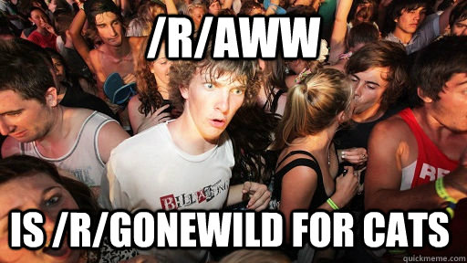 /r/aww is /r/gonewild for cats  Sudden Clarity Clarence
