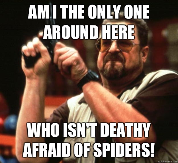 am I the only one around here Who isn't deathy afraid of spiders!  Angry Walter