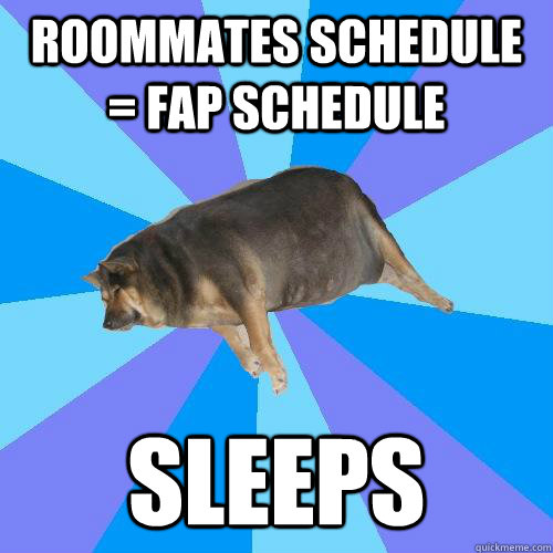 Roommates schedule = fap schedule sleeps  Lazy college student