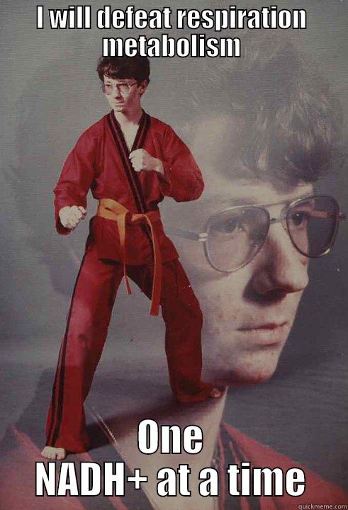 I WILL DEFEAT RESPIRATION METABOLISM ONE NADH+ AT A TIME Karate Kyle