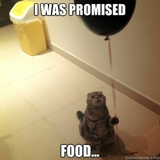 I WAS PROMISED FOOD...  Sad Birthday Cat