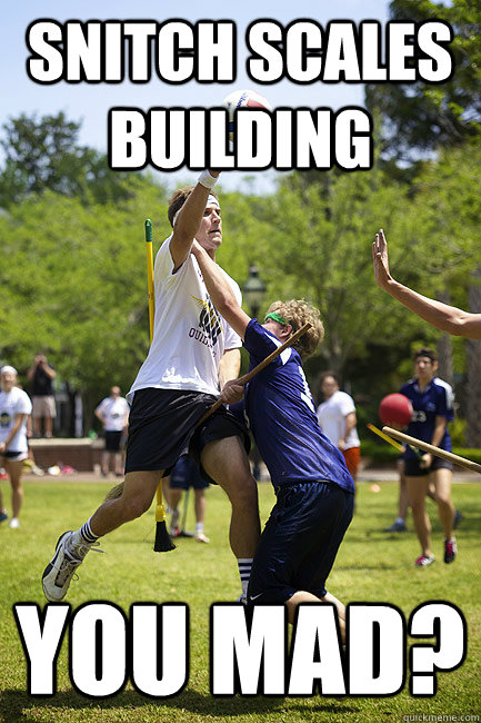 snitch scales building you mad?  Muggle Quidditch