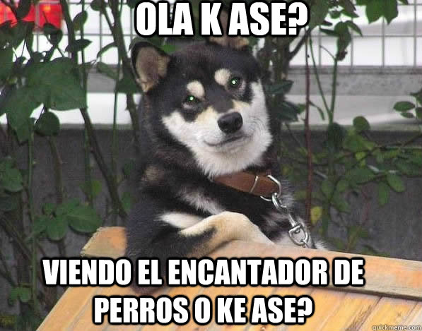 ola k ase? viendo el encantador de perros o ke ase? - ola k ase? viendo el encantador de perros o ke ase?  o k ase