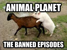 animal planet the banned episodes  Cross Breeding