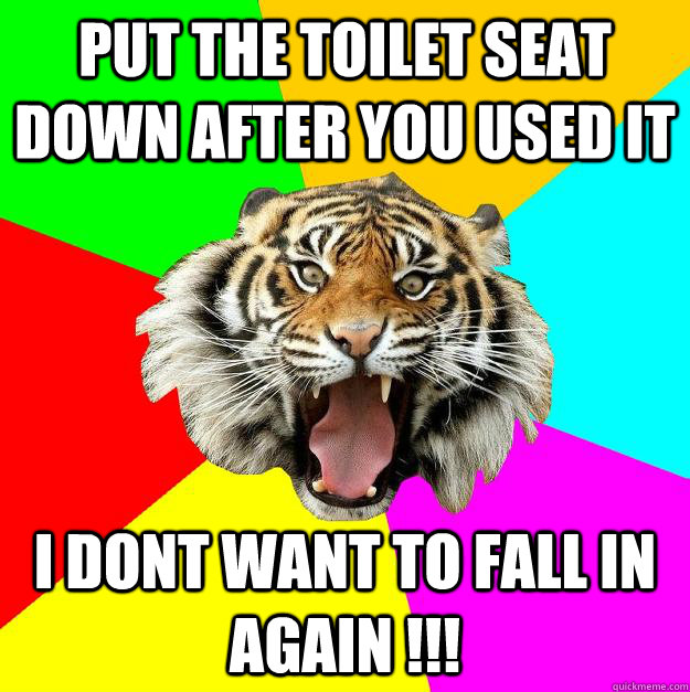 Put the toilet seat down after you used it  I dont want to fall in again !!!  Time of the Month Tiger