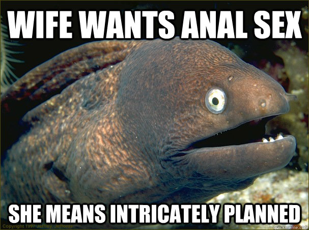 Wife Wants Anal Sex She Means Intricately Planned - Wife Wants Anal Sex She Means Intricately Planned  Bad Joke Eel