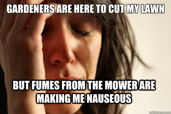 gardeners are here to cut my lawn but fumes from the mower are making me nauseous  FirstWorldProblems