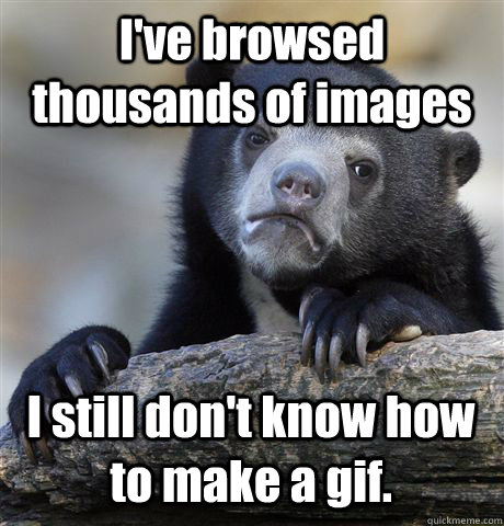 I've browsed thousands of images I still don't know how to make a gif.  Confession Bear