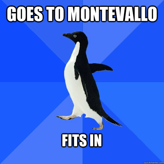 Goes to Montevallo  fits in   Socially Awkward Penguin