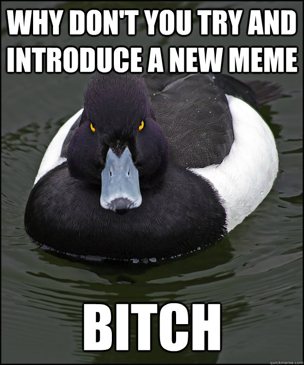 why don't you try and introduce a new meme bitch  Angry Advice Duck