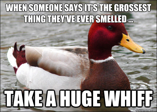 When someone says it's the grossest thing they've ever smelled ...
 take a huge whiff  Malicious Advice Mallard