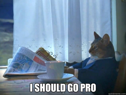  I should go pro  The One Percent Cat